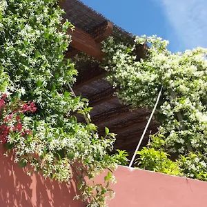 Gato Preto De - Adults Only Alojamento de Acomodação e Pequeno-almoço Silves